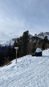 Vista dal Catinaccio